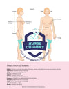 Anatomy and Physiology Student Handbook