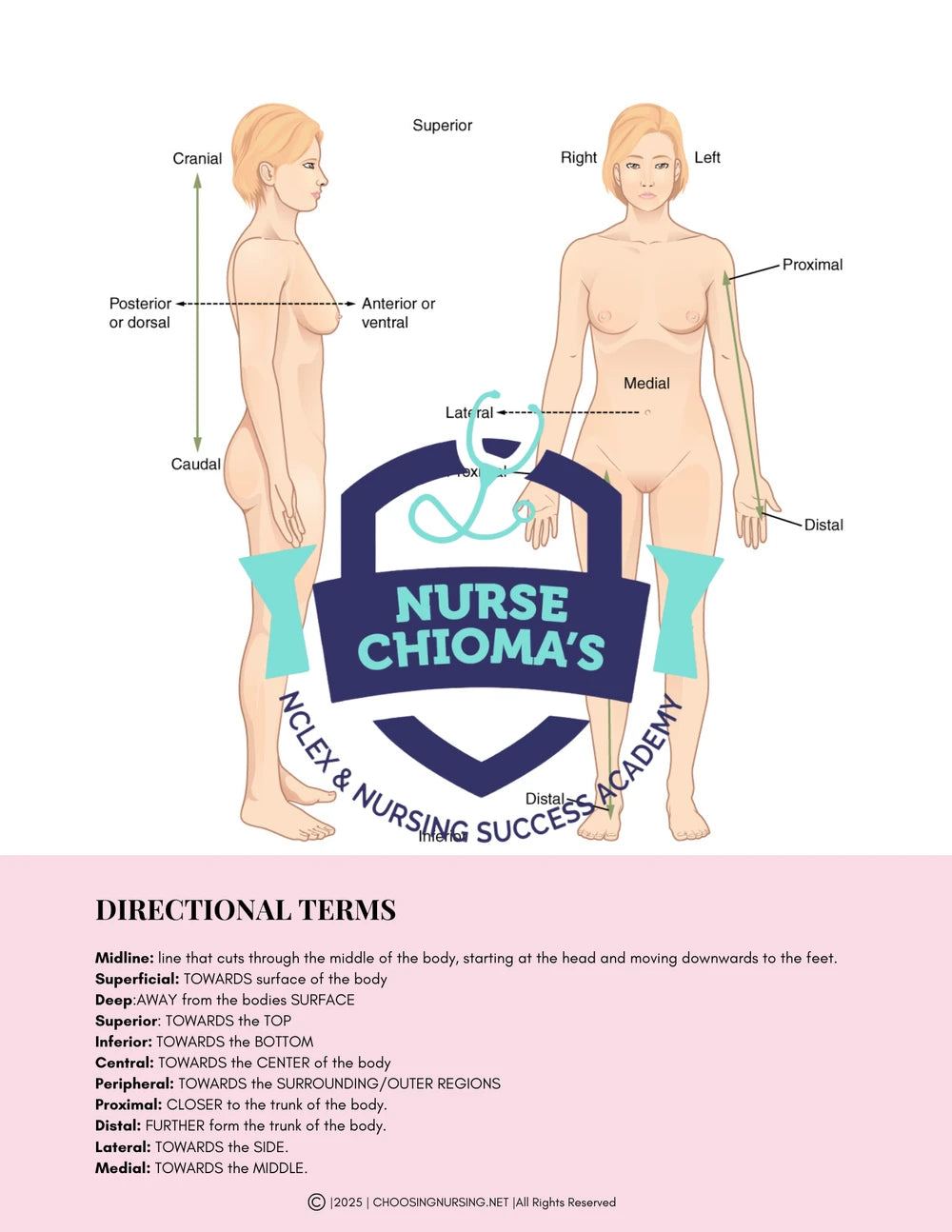 Anatomy and Physiology Student Handbook