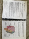 Anatomy and Physiology Student Handbook