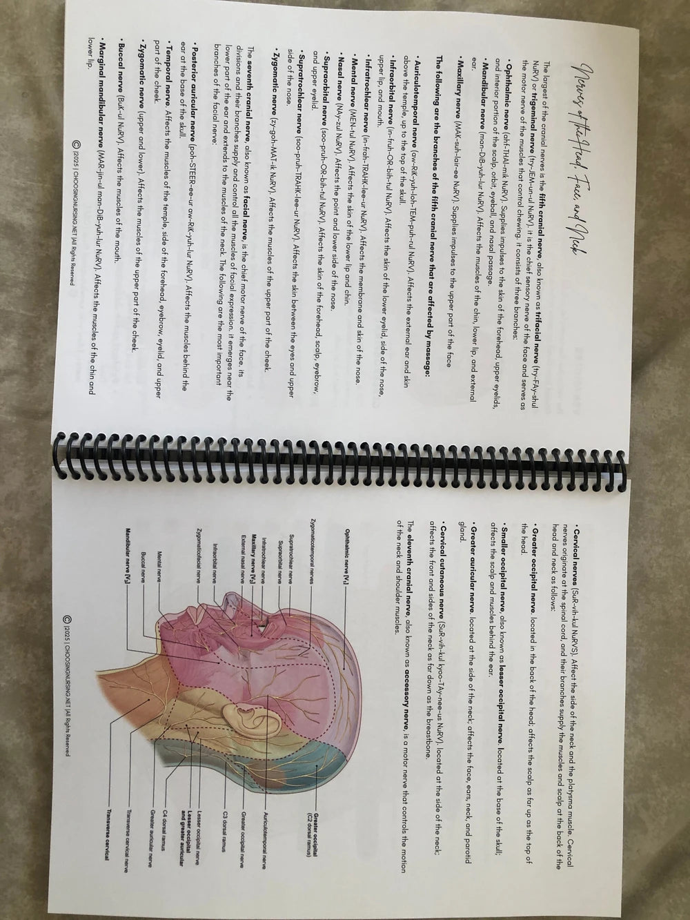 Anatomy and Physiology Student Handbook