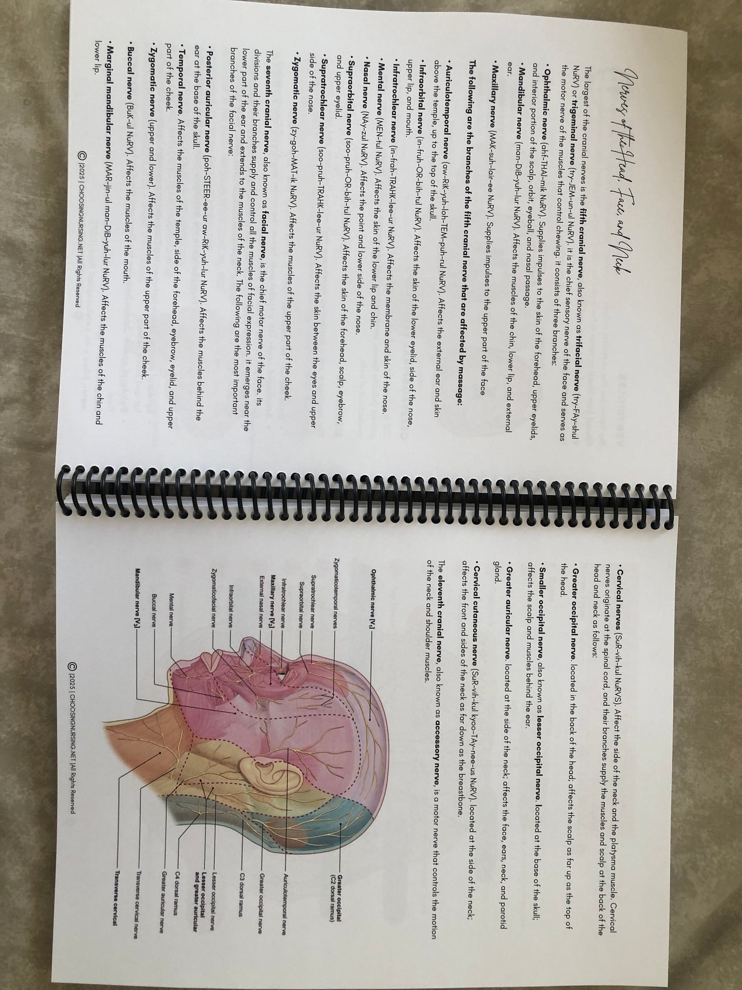 Anatomy & Physiology Student Handbook + Course