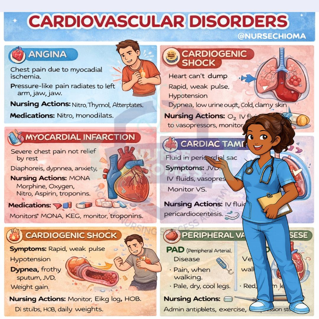 Medical Surgical Bundle | 15 Pages