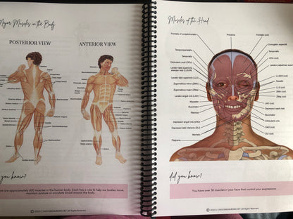 Anatomy & Physiology Student Handbook + Course