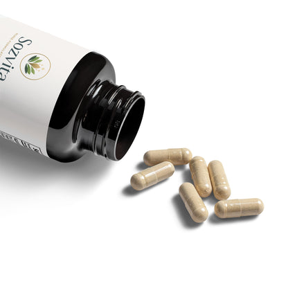 Magnesium Zinc Supplement (90 Capsules)