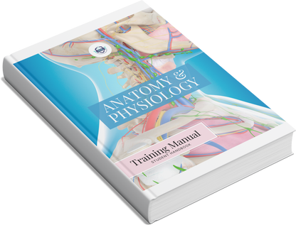 Anatomy & Physiology Student Handbook + Course