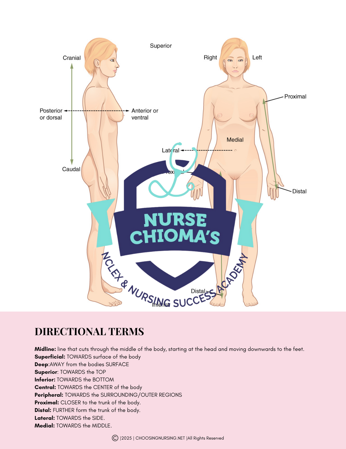Anatomy & Physiology Student Handbook + Course