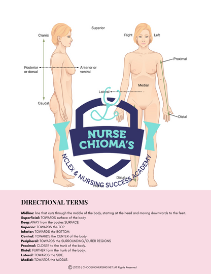 Anatomy & Physiology Student Handbook + Course