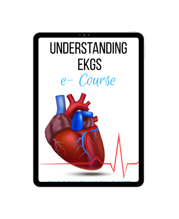 Medical Surgical/ Nursing School Course Bundle
